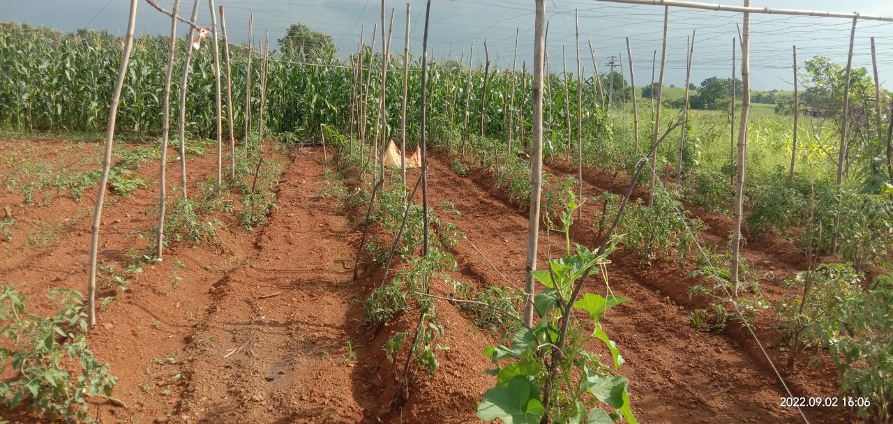 Multi-layer Natural Farming