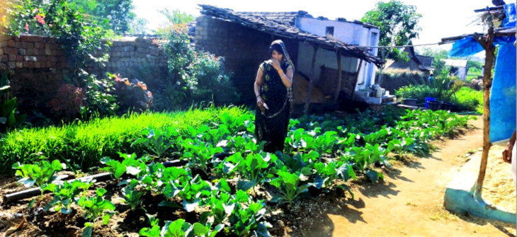 Growing health at home!